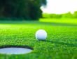 5 Reglas del Golf